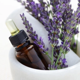 LAVENDER